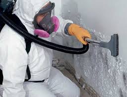 Best Air Quality Testing for Mold Spores  in Rosharon, TX